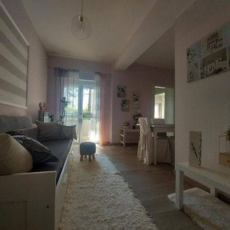 La Pineta - Delightful Small Apartment Near The City Center LʼAquila Zewnętrze zdjęcie