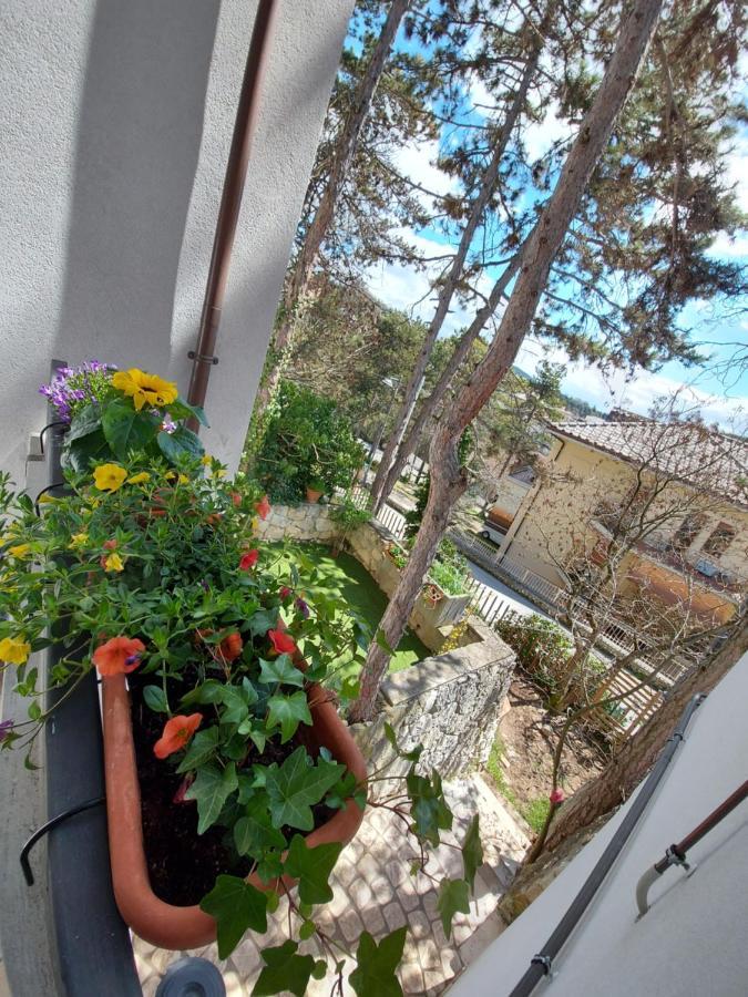 La Pineta - Delightful Small Apartment Near The City Center LʼAquila Zewnętrze zdjęcie