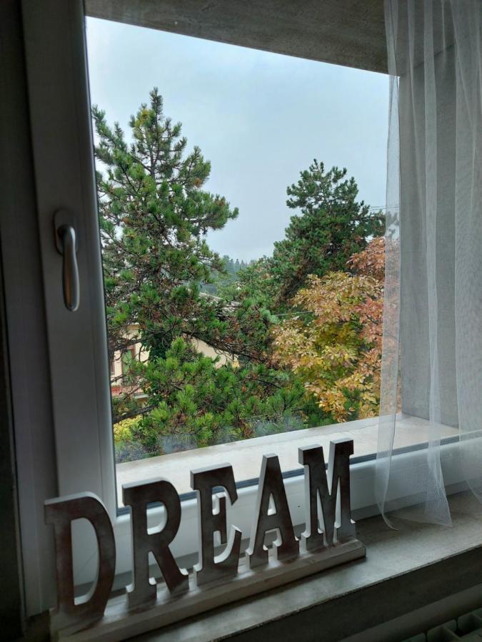 La Pineta - Delightful Small Apartment Near The City Center LʼAquila Zewnętrze zdjęcie